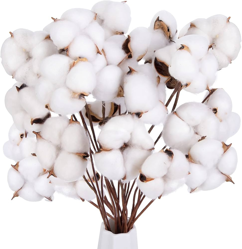 DomeStar 30PCS Cotton Stems, 15" Natural Dried Cotton 120 Cotton Balls Cotton Sprigs Cotton Bloom... | Amazon (US)
