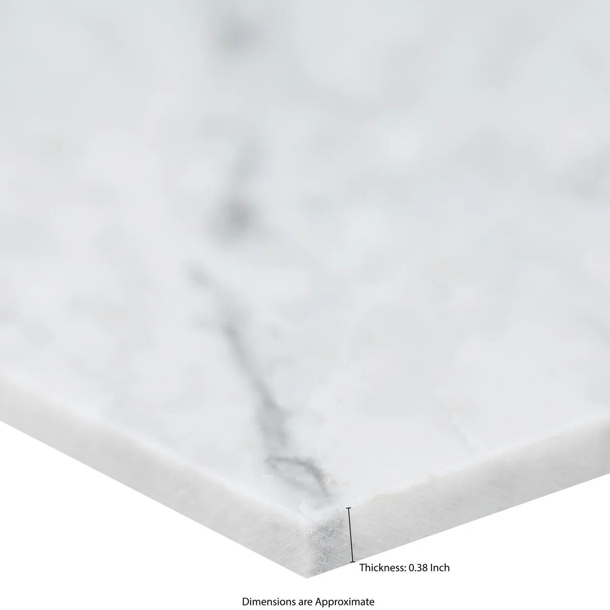 Castella Cambria 12 in. x 24 in. Honed Marble Floor and Wall Tile | Wayfair North America