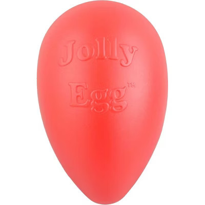 Jolly Pets Egg (large) | Target