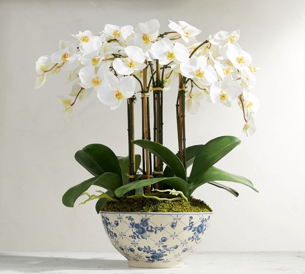 Faux Orchid in Rose Trellis Bowl | Pottery Barn (US)