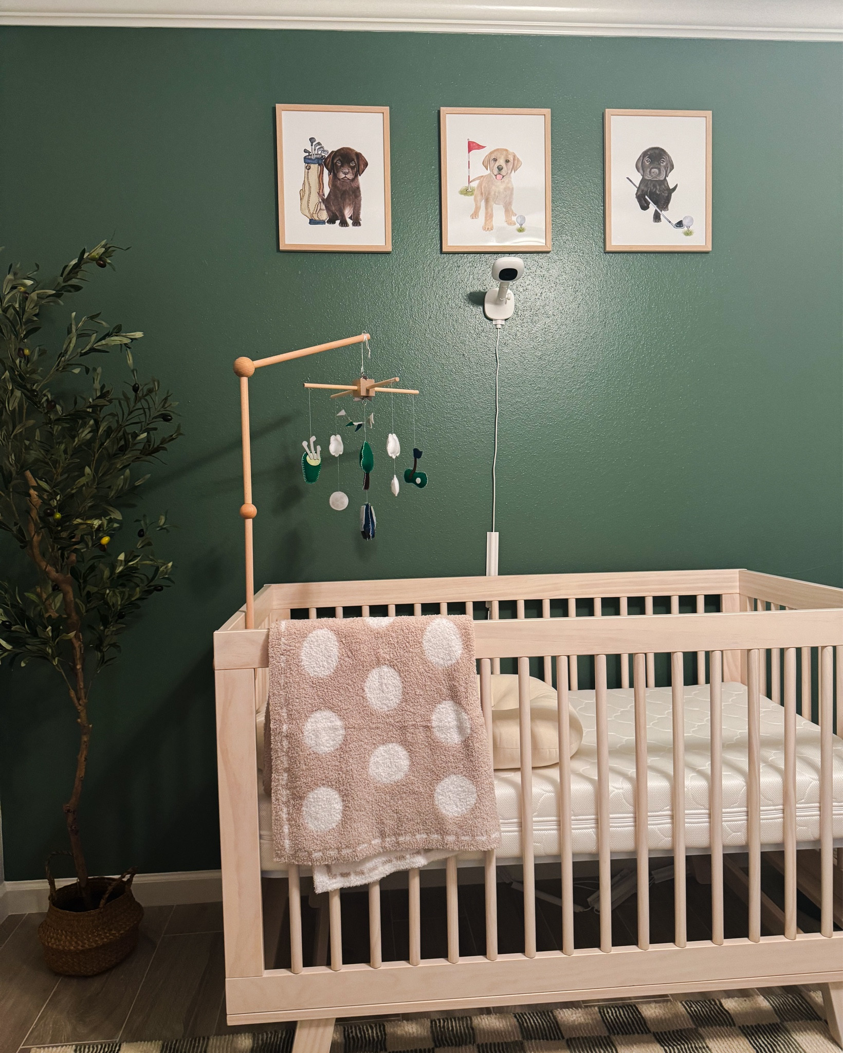 Golf & Dog Baby Boy Nursery 


#LTKKids #LTKBaby #LTKHome