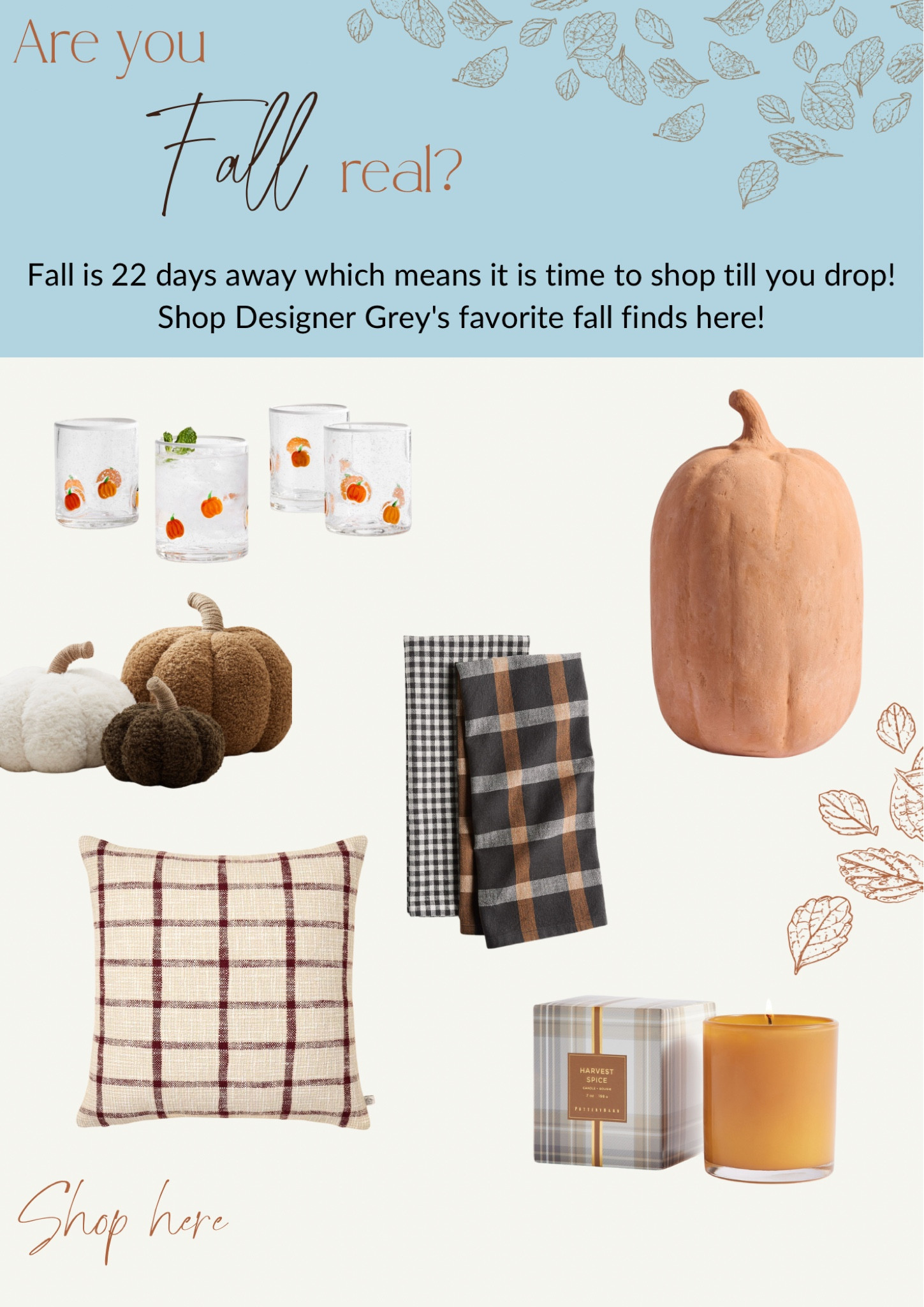 September fall finds newsletter 