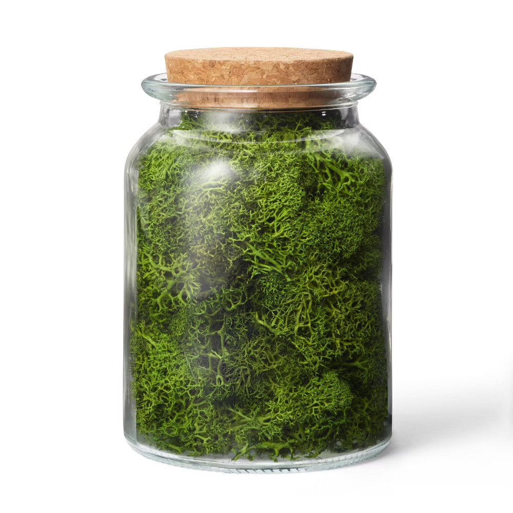 Preserved Moss Decorative Filler Green - Hilton Carter for Target | Target