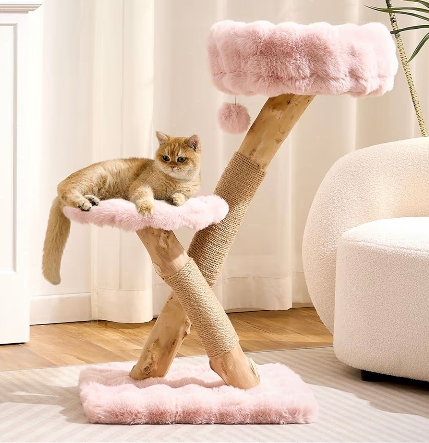 There’s a new kitten in our house, so exciting! 
🤍

Cat beds, Cat tower, Scratch pads, Gift guide for your cat, House cat#LTKdayinmylife

#LTKGiftGuide #LTKHome