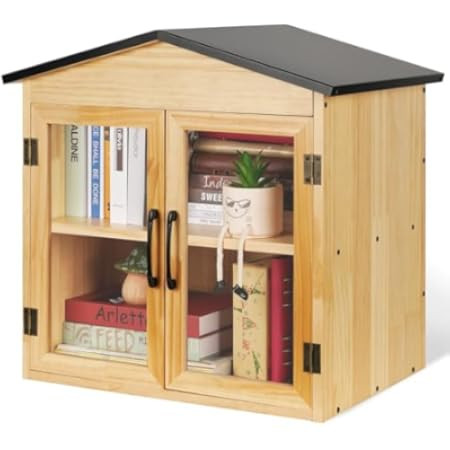 Little Library Box Outdoor Free Library,Double Little Library with Shelf,Trapezoidal Roof Little ... | Amazon (US)