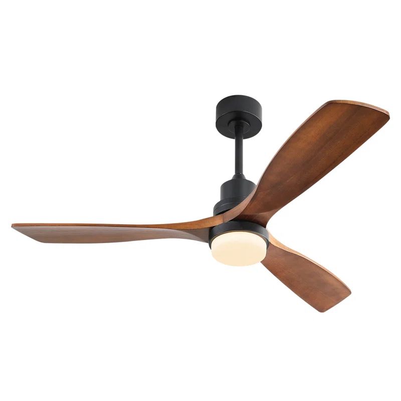 Nicola 52'' Ceiling Fan with LED Lights | Wayfair North America