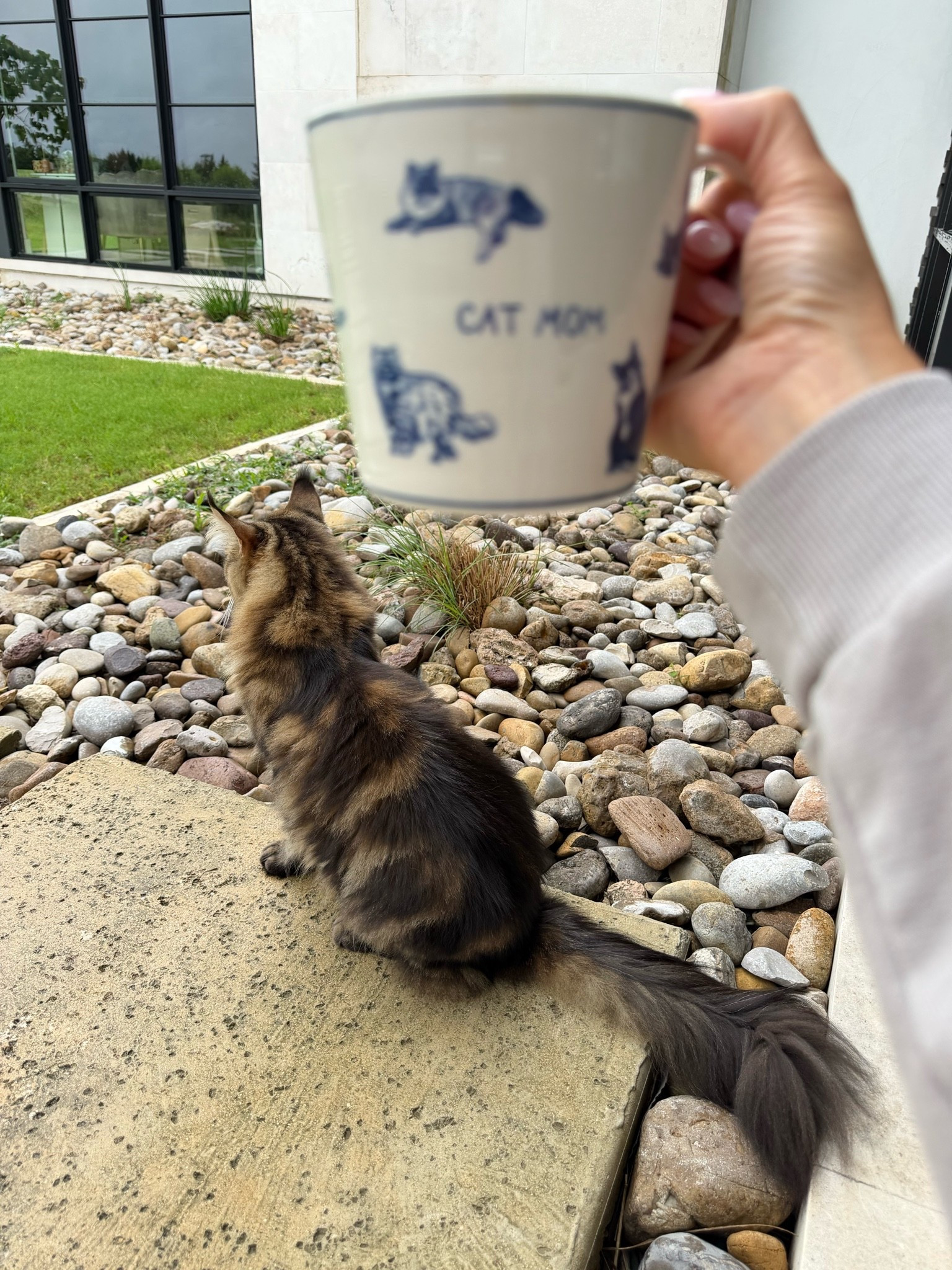 My Anthropologie cat mom mug is on sale for $7 when you add to your cart! There’s also a dog mom one 😍