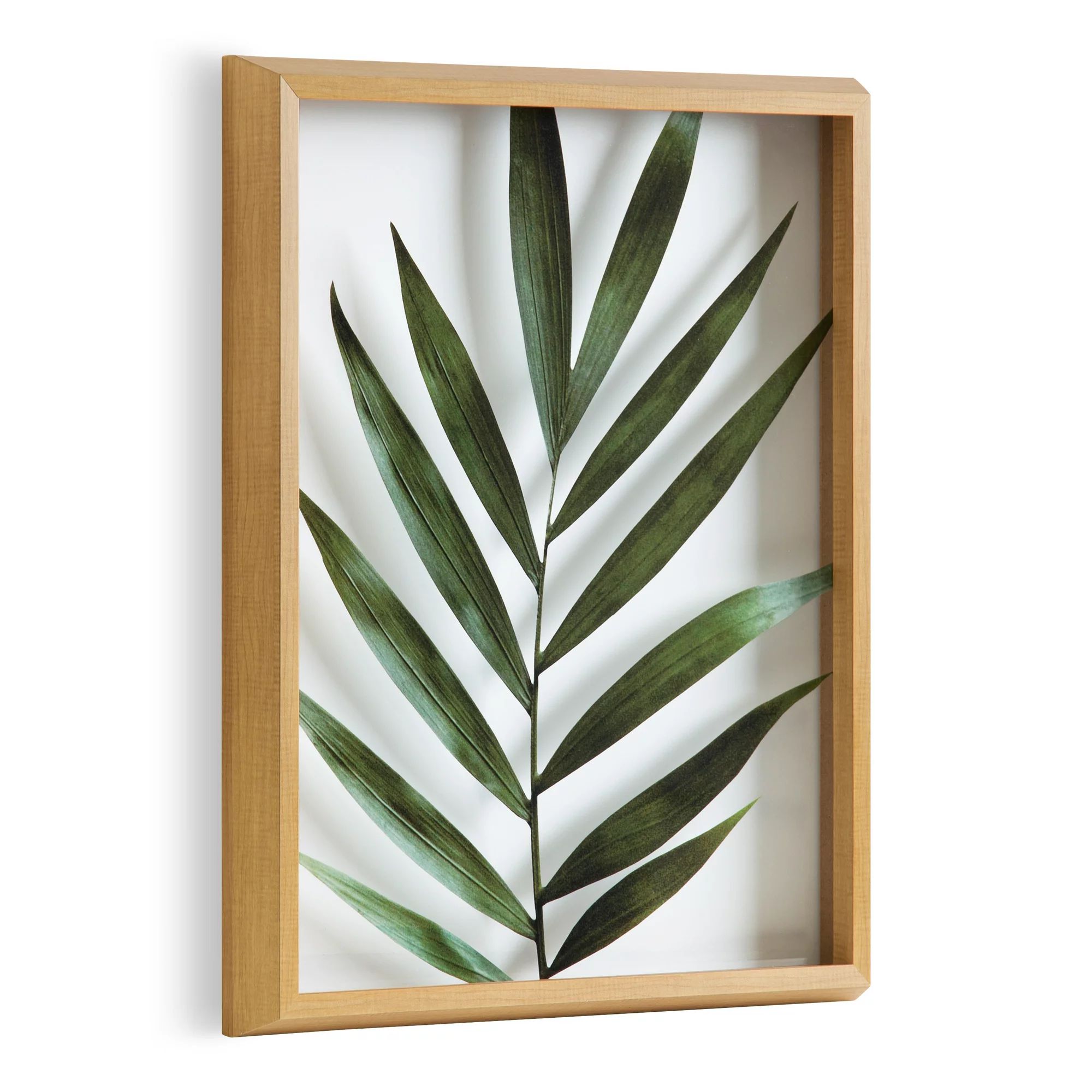 Kate and Laurel Blake Botanical Framed Printed Glass Art By Amy Peterson, 16x20 Natural, Modern W... | Walmart (US)