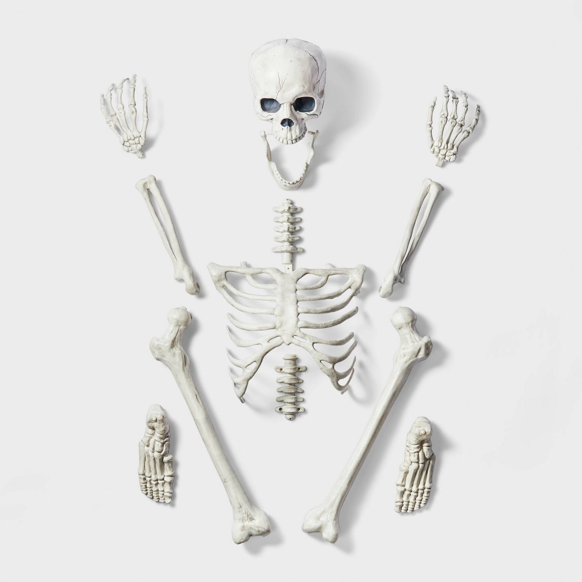 13pc Skeleton Bag of Bones Halloween Decorative Prop - Hyde & EEK! Boutique™ | Target
