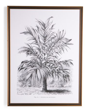 30x40 Palm With Ornate Frame Wall Art | Home | Marshalls | Marshalls