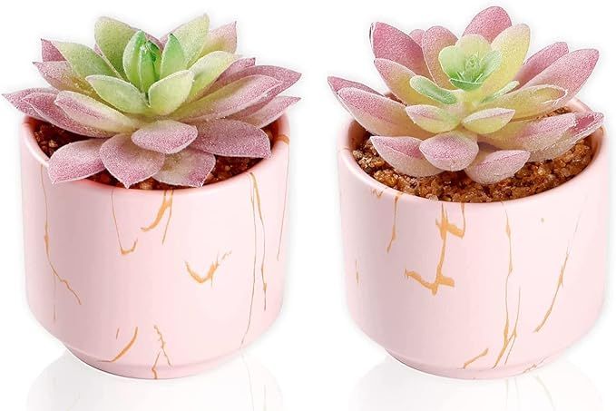 zenmag Fake Succulents, Mini Succulents Plants Artificial in Pink Ceramic Pots for Desk Livingroo... | Amazon (US)