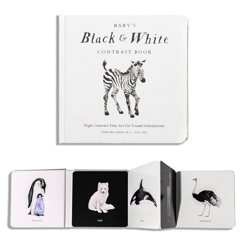 Baby's Black and White Contrast Book: High-Contrast Art for Visual Stimulation at Tummy Time (Our... | Amazon (US)