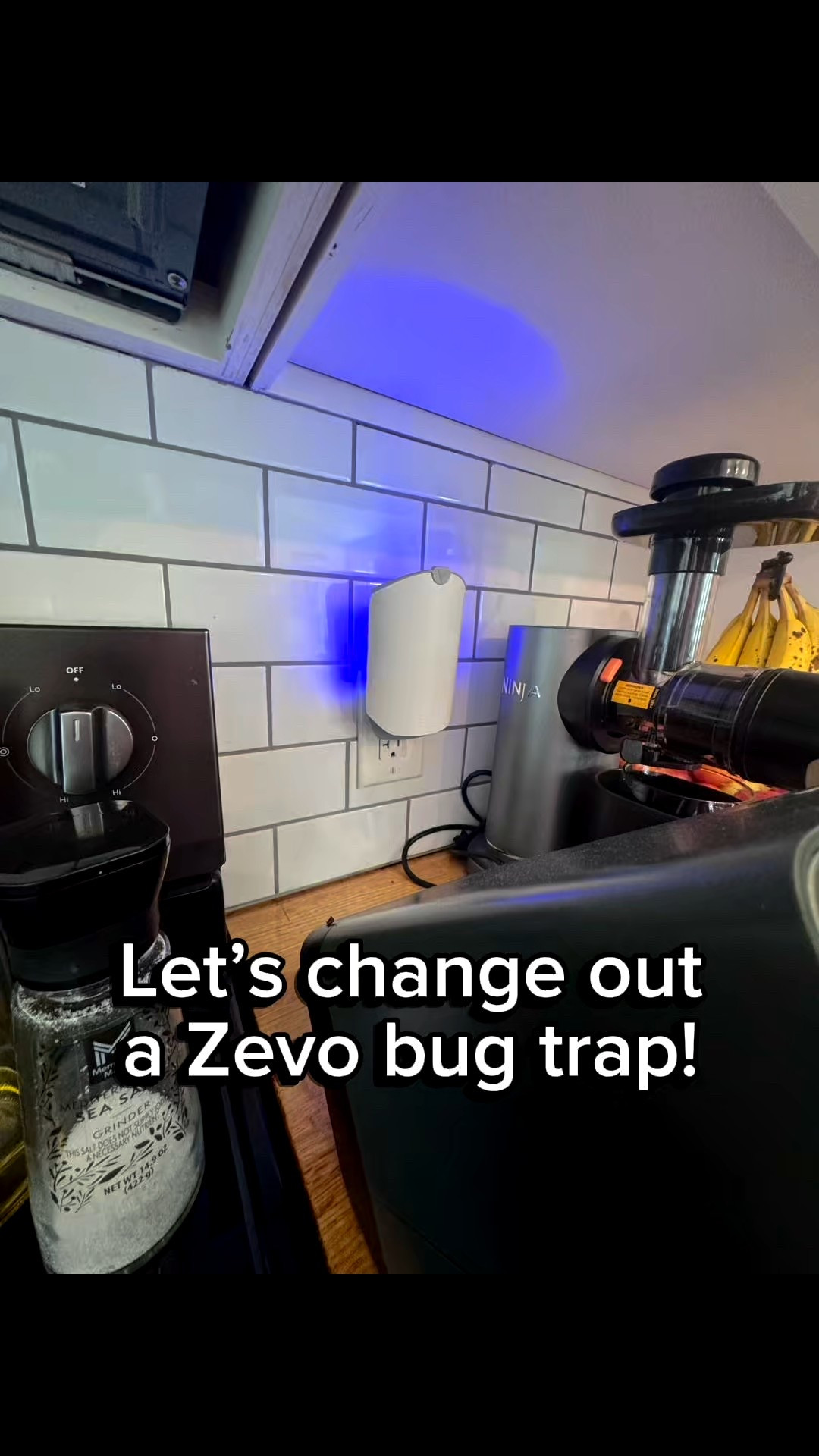 The blue light helps attract those annoying little bugs that seem impossible to get rid of! 🪰

I wouldn’t even be mad to receive one as a gift 🙃
The proof is in the pudding! 💁🏼‍♀️

#LTKHome #LTKFamily #LTKFindsUnder50