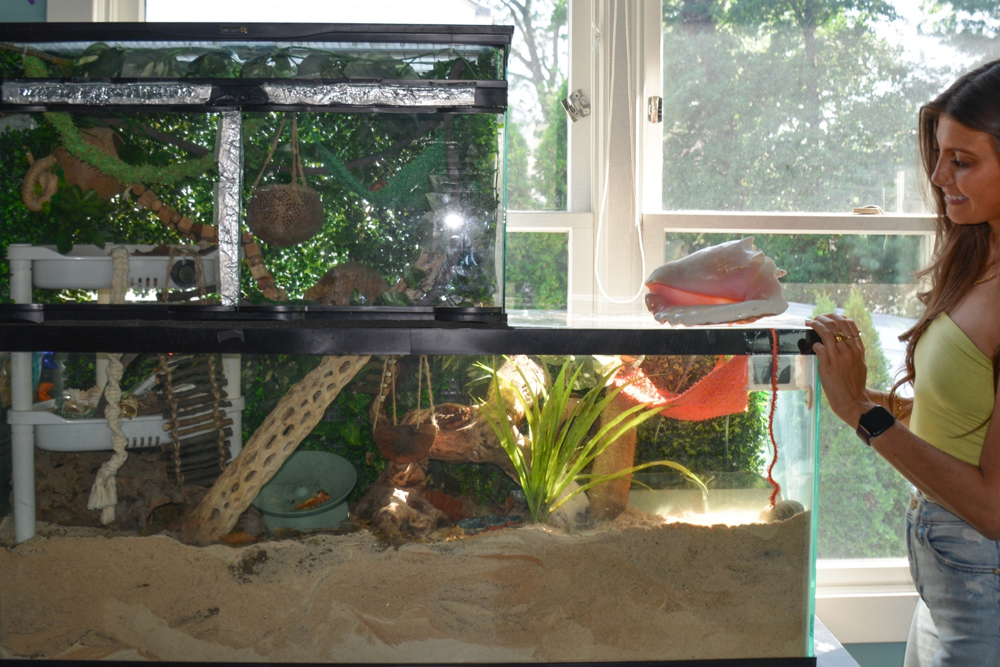 80 gallon hermit crab tank. A 55 gallon base tank with a 25 gallon topper!