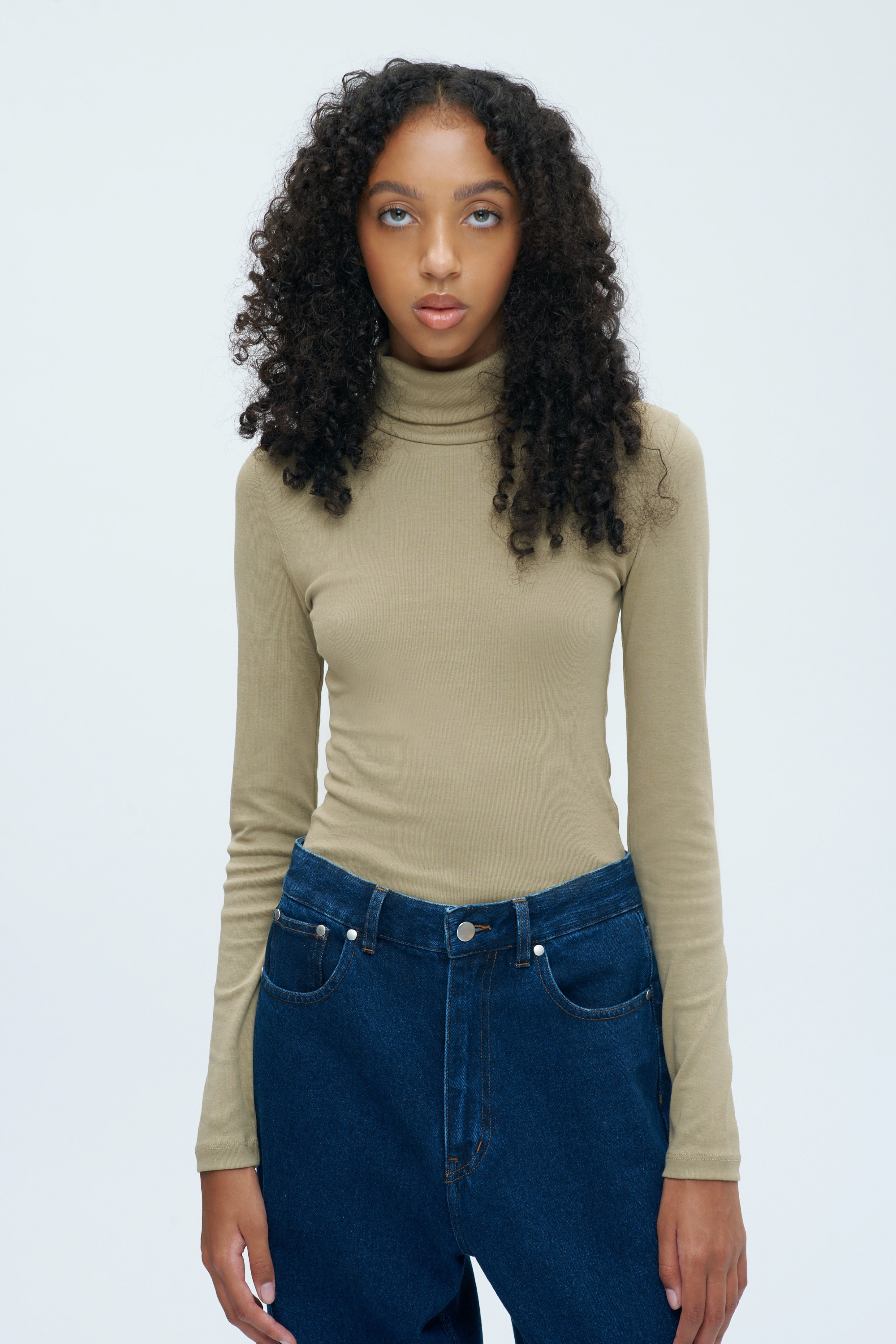 Fitted Turtleneck | Kotn