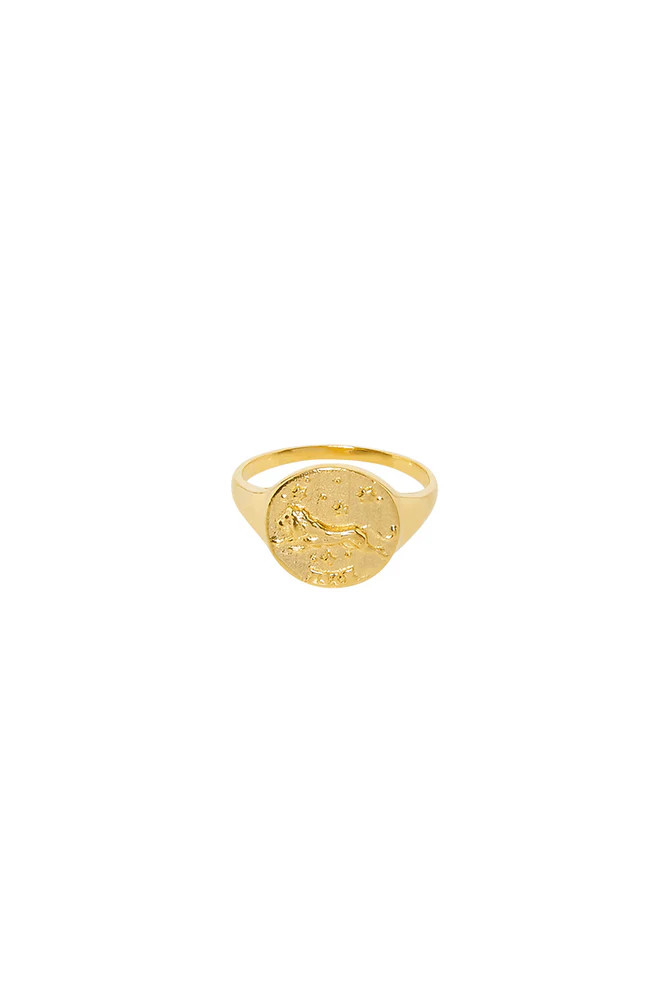 Leo Stargazer Zodiac Ring | Spell Designs (Australia & New Zealand)