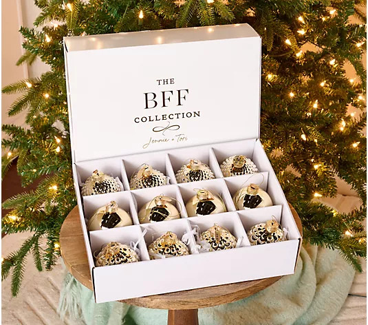 BFF Collection Set of 12 Metallic Glass Ornaments with Gift Box - QVC.com | QVC