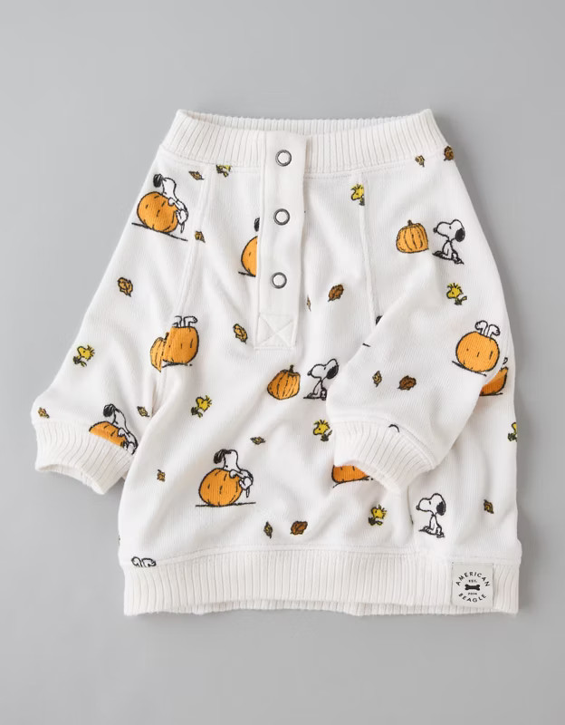 ABO Snoopy Pumpkin Plush Dog PJ Set | American Eagle Outfitters (US & CA)
