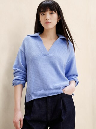 Textured Johnny-Collar Sweater | Banana Republic Factory