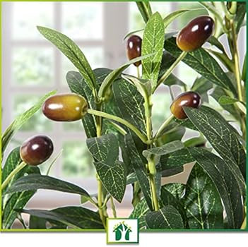 CROSOFMI Artificial Olive Tree, 6FT Fake Olive Plant in Pot, Tall Faux Plant,Potted Faux Topiary ... | Amazon (US)