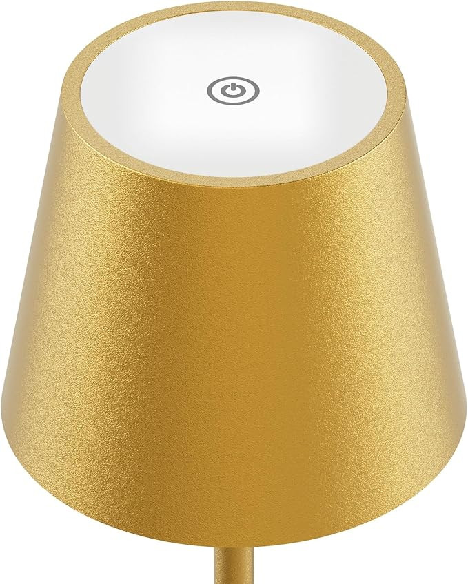 Battery Operated Stepless Dimmable Portable Lamp | Amazon (US)