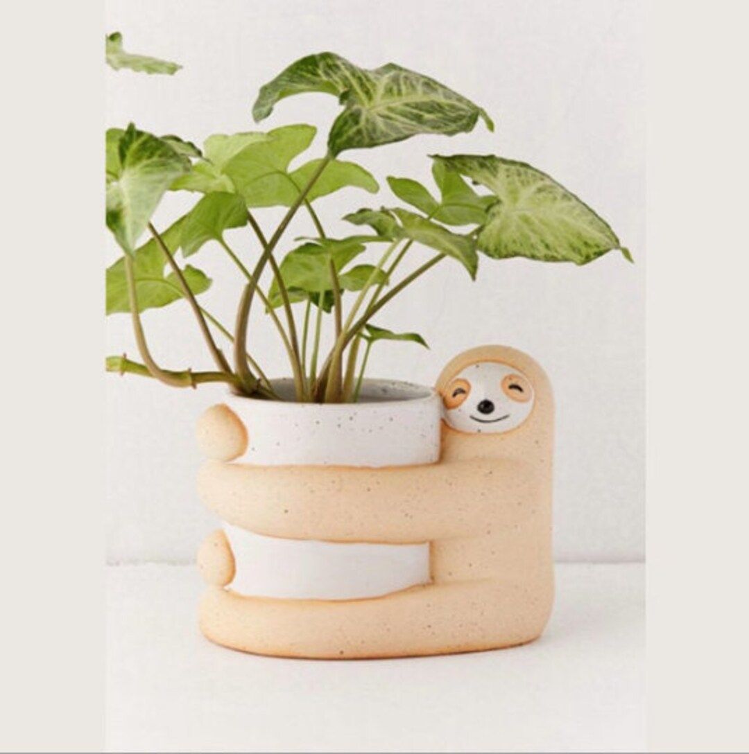 Large Sloth Planter Pot for Succulents & Plants  Succulent - Etsy | Etsy (US)