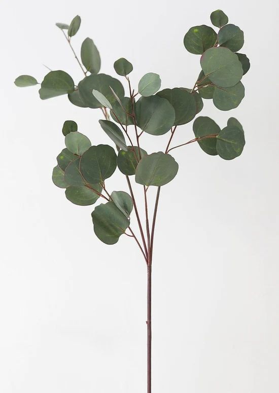 Real Touch Silver Dollar Eucalyptus - 30" | Afloral (US)