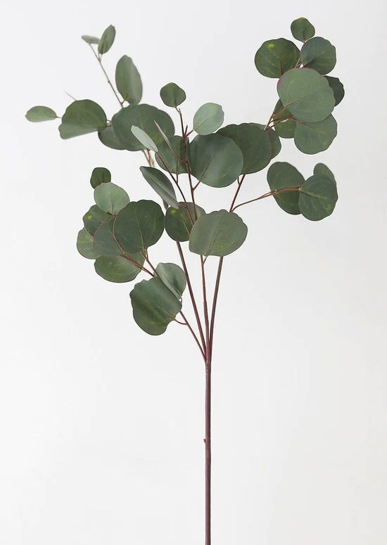 Real Touch Silver Dollar Eucalyptus - 30" | Afloral (US)
