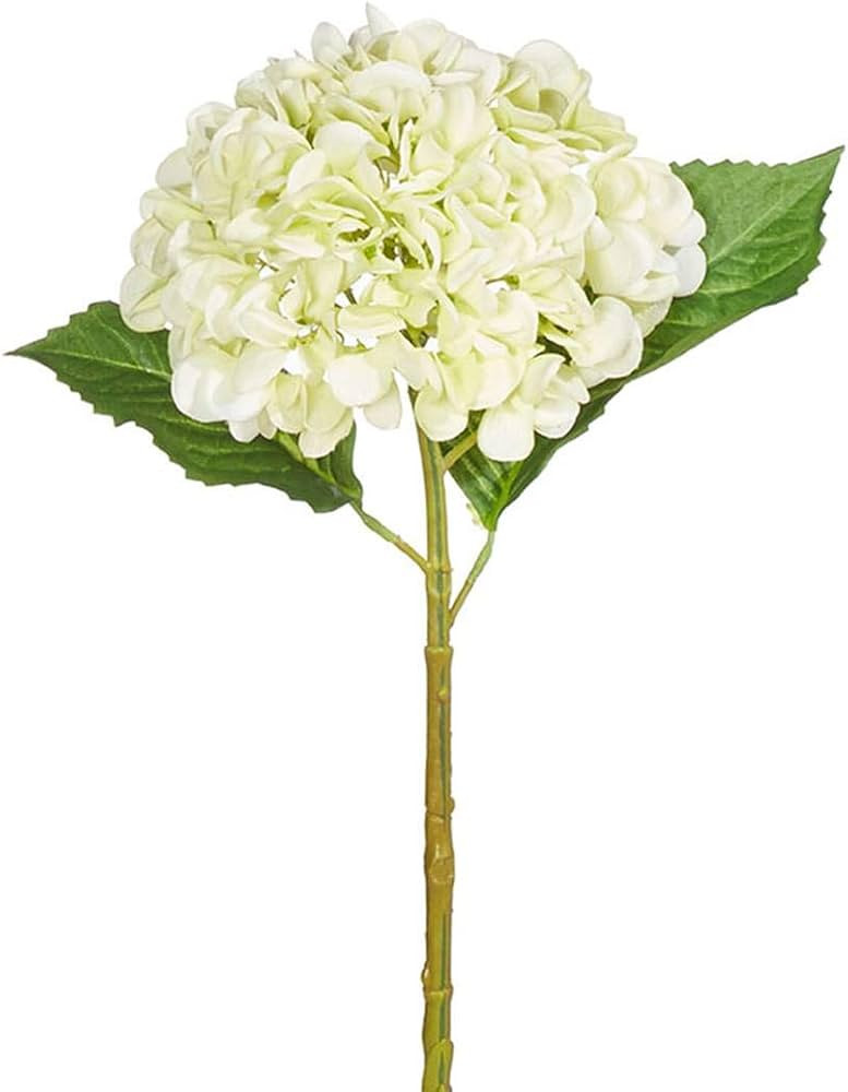 Raz F4022626 Real Touch Light Green Hydrangea Stem, 20 inches | Amazon (US)