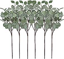 Artificial Greenery Stems 6 Pcs Straight Silver Dollar Eucalyptus Leaf Silk Greenery Bushes Plastic  | Amazon (US)
