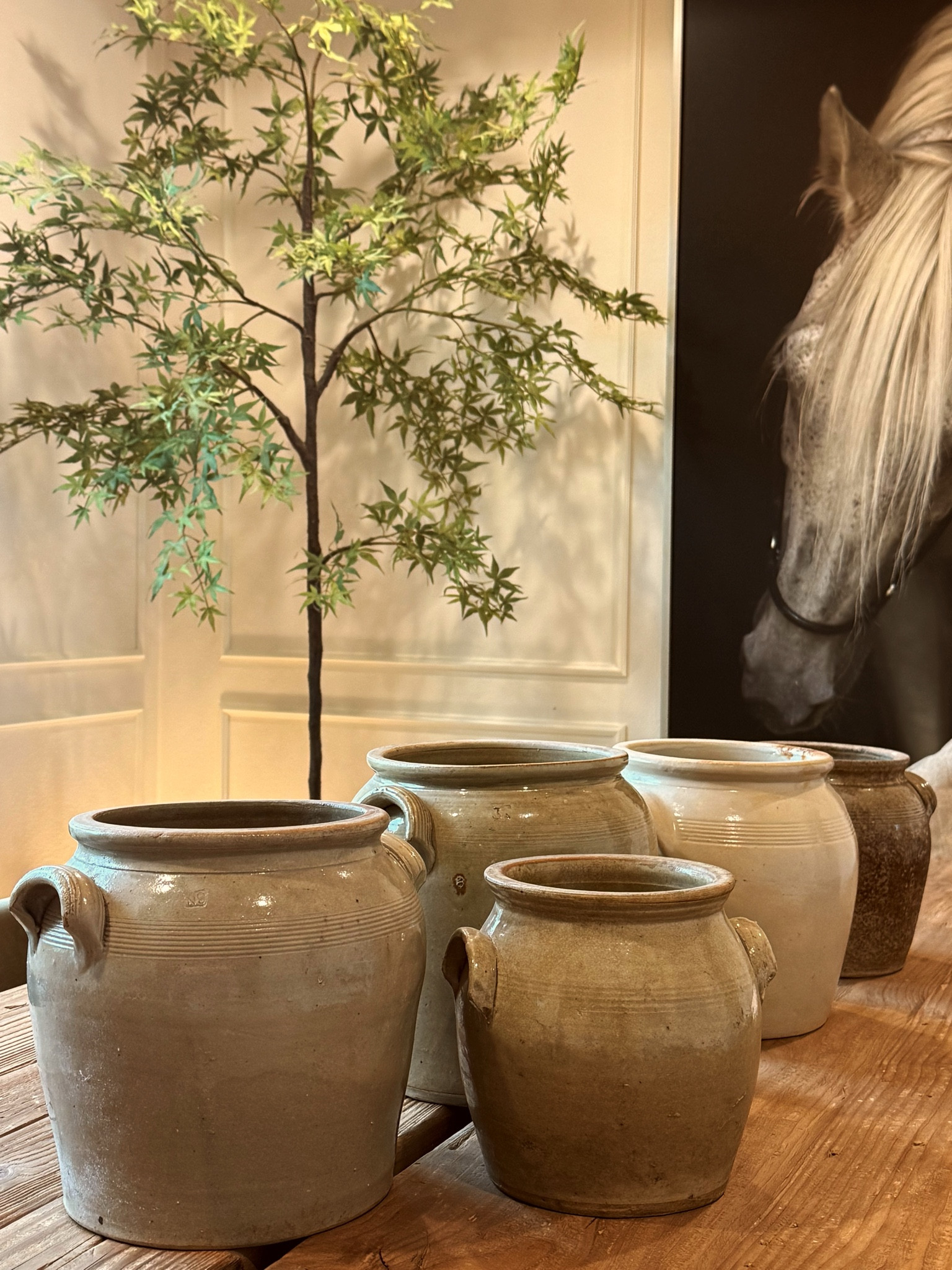 My new obsession - confit pots. #vintage #homedecor #curated

#LTKHome #LTKActive #LTKU