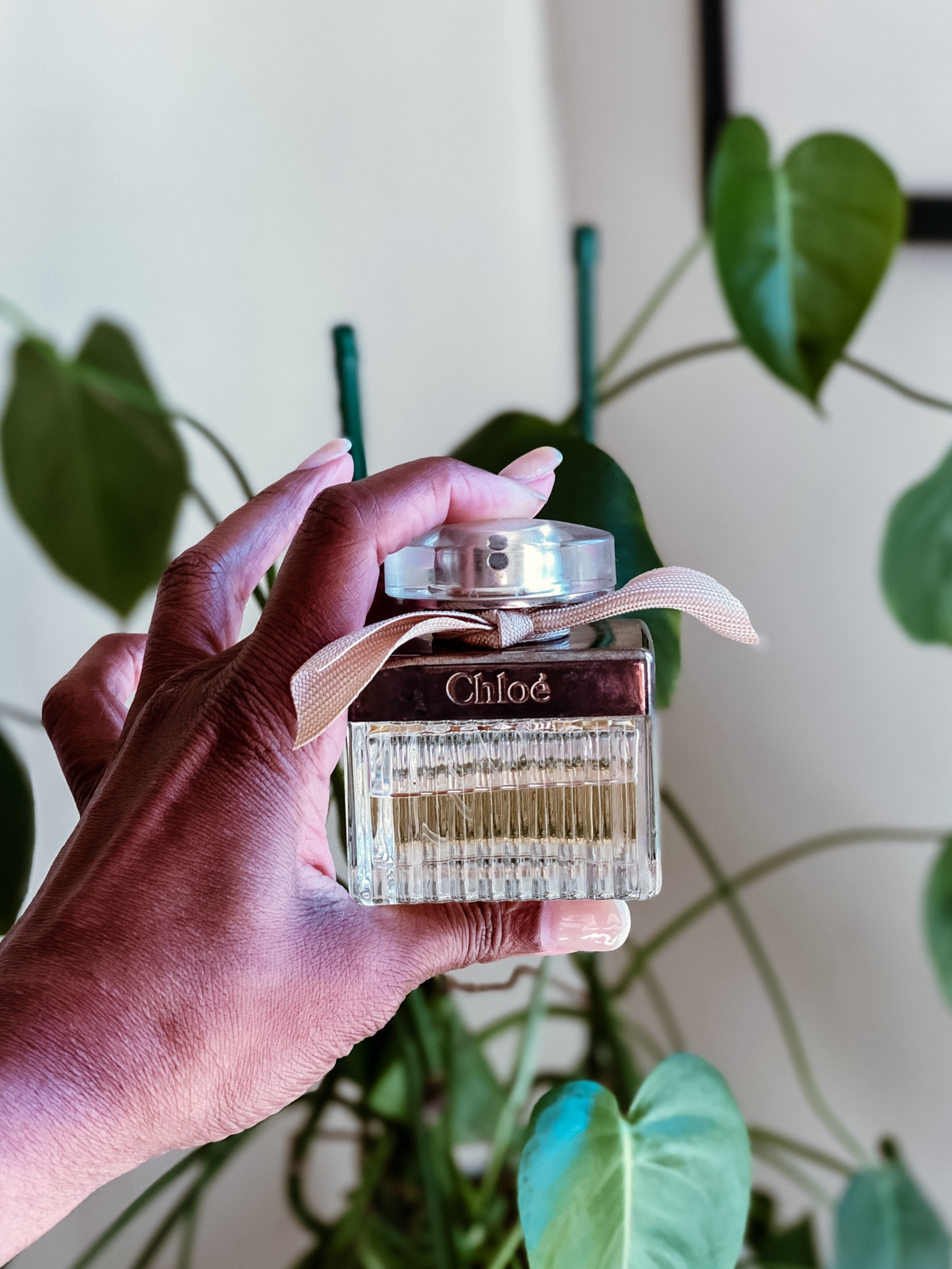 I’m recycling this scent for the Fall. 

#LTKBeauty #LTKGiftGuide #LTKOver40