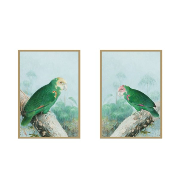 Tropical Parrot Pair | Urban Garden Prints