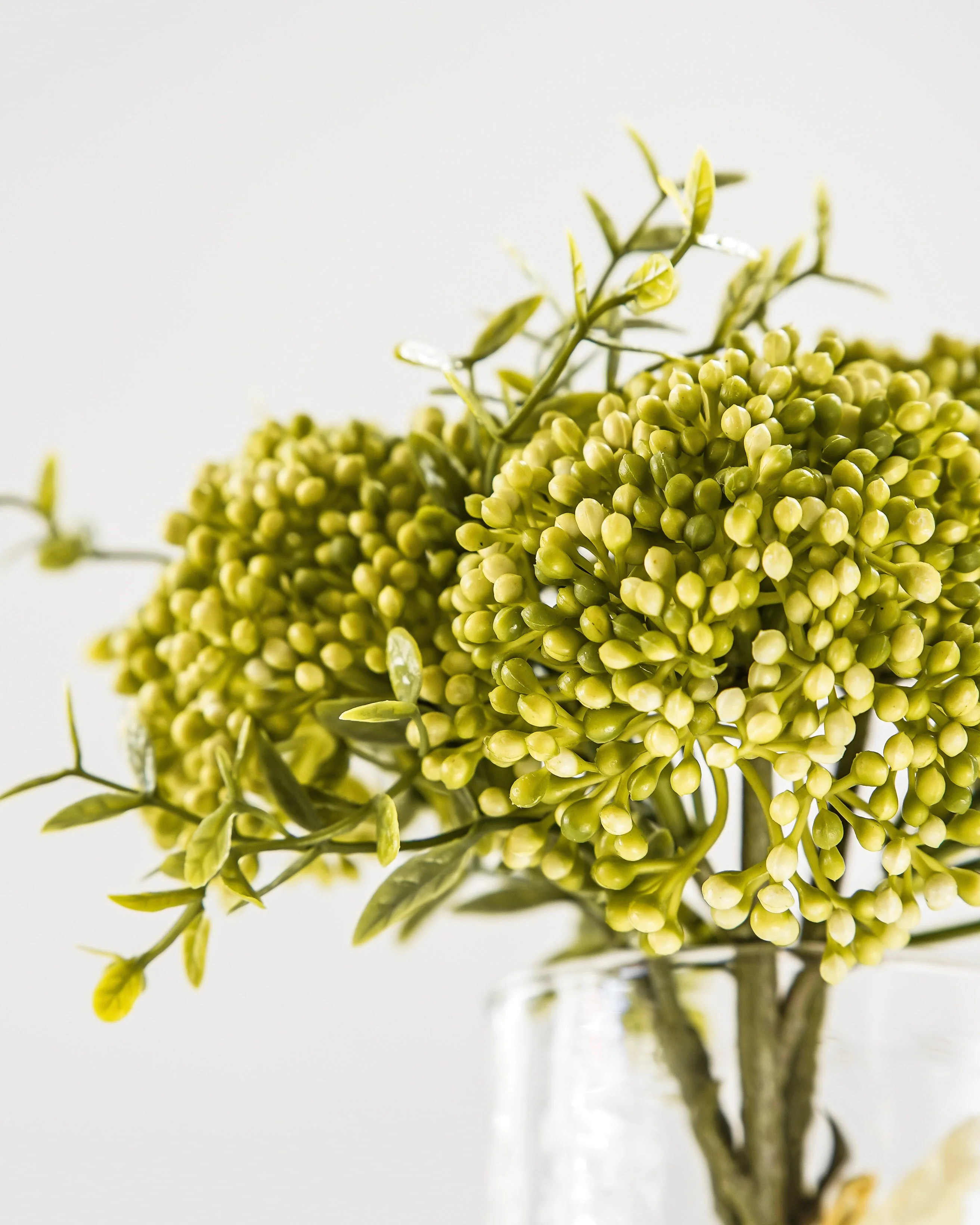 Spring Green Sedum Bunch | MJHome