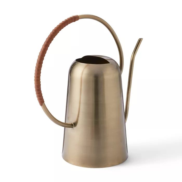 12" x 12" Iron Watering Can Gold - Hilton Carter for Target | Target