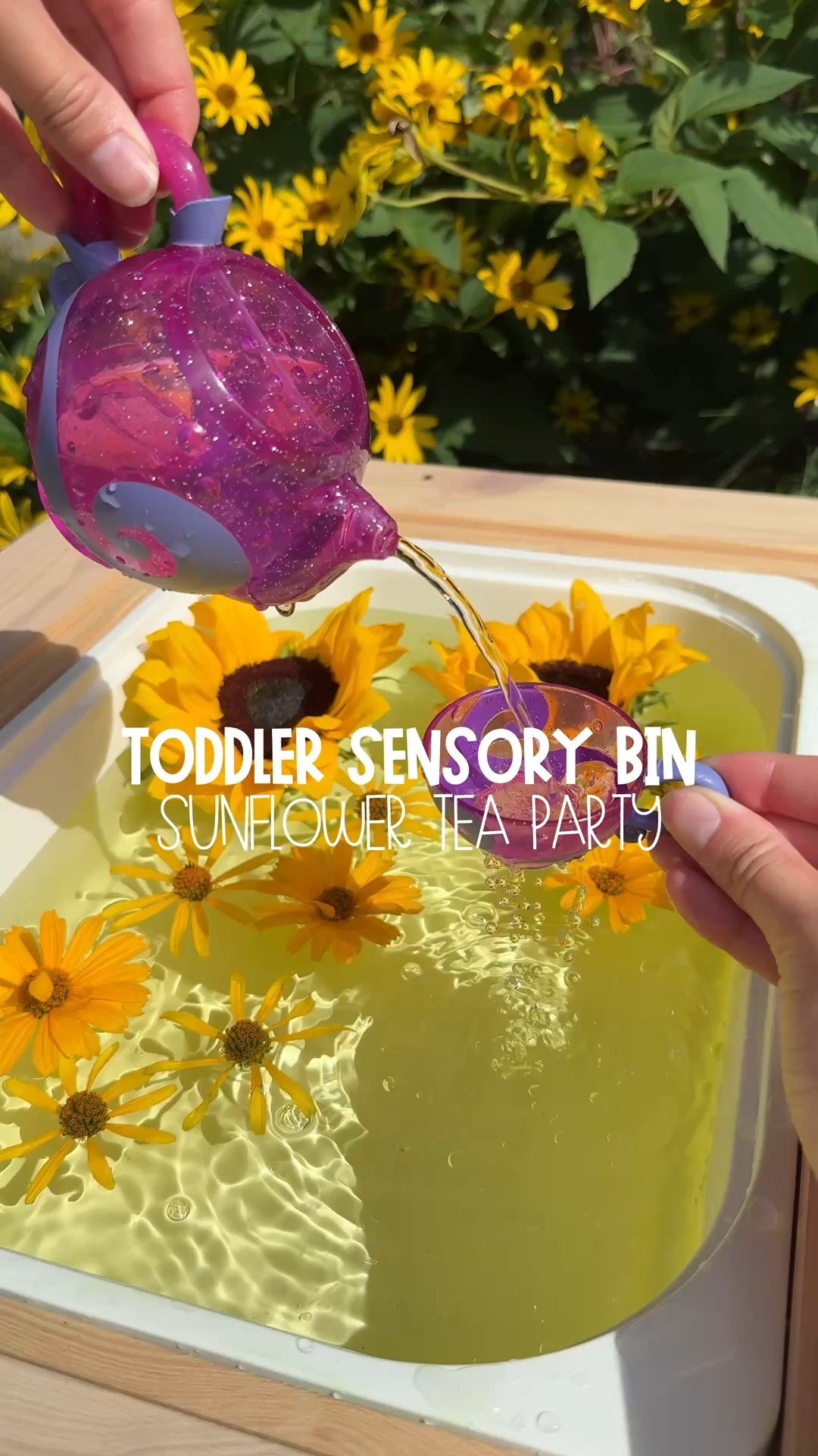 🌻✨ Sunflower Tea Party ✨🌻

We turned our IKEA Flisat table into the dreamiest little sunflower tea party today! One side was filled with sunny yellow water 💛 and the other had compartments full of fun tea party essentials—@Munchkin Inc. bath tea set, yellow glowing @glopals cubes, @Learning Resources Inc. dropper for pouring + scooping, and of course… real sunflowers and garden blooms 🌼☀️

Water play is always a toddler favorite, and this setup was the sweetest way to soak up some sunshine + sensory fun! 🫖🌻

#sensorybin #toddlersensoryplay #sensoryplayideas #toddleractivity #learningthroughplay

#LTKSeasonal #LTKKids #LTKFamily