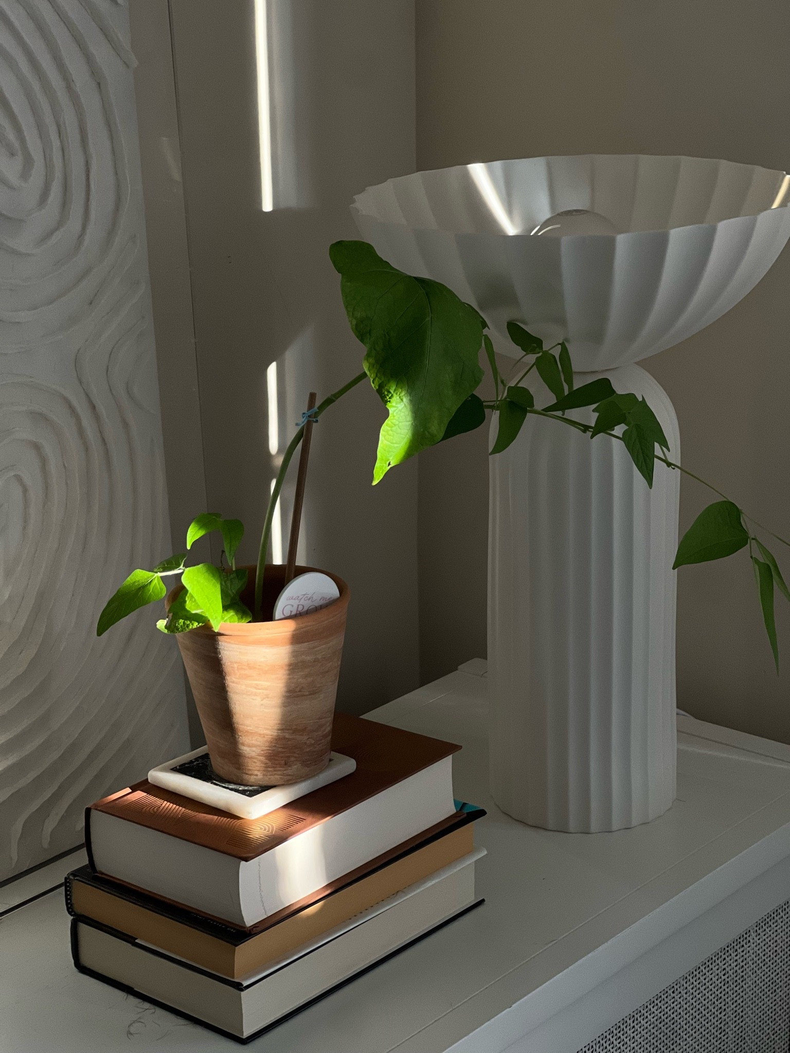 The little lamp that changed this corner

#LTKHome