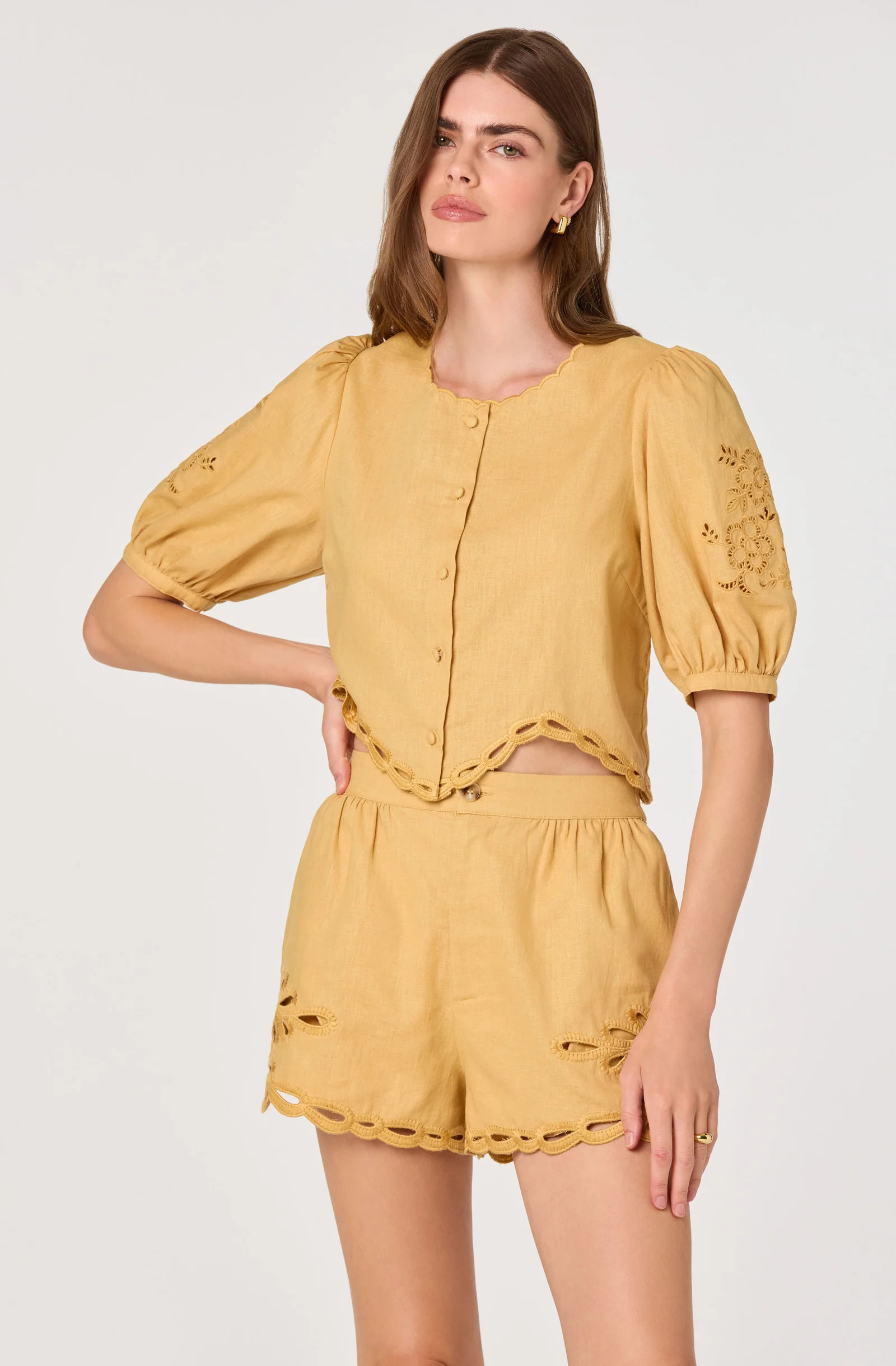 Joellyn Embroidered Puff Sleeve Top | ASTR The Label (US)