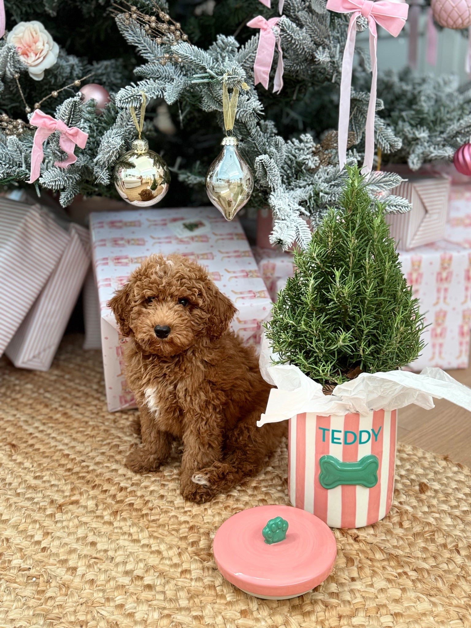 The cutest puppy treat jar 🐶 💕🎄

#LTKHoliday #LTKGiftGuide