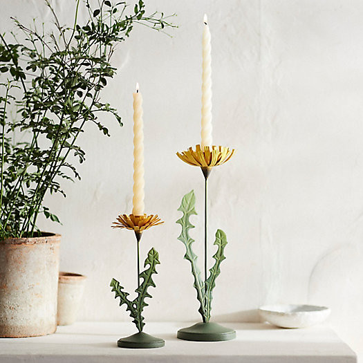 Dandelion Taper Holder | Terrain