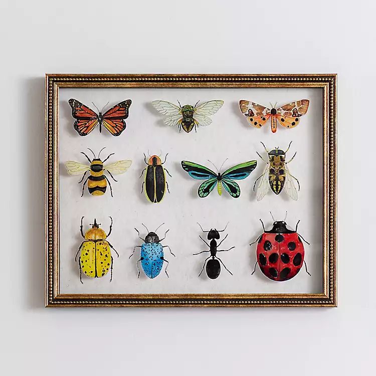 Bug Collection Framed Wall Art | Kirkland's Home