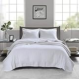Madison Park Keaton Quilt Set-Casual Channel Stitching Design All Season, Lightweight Coverlet Bedsp | Amazon (US)