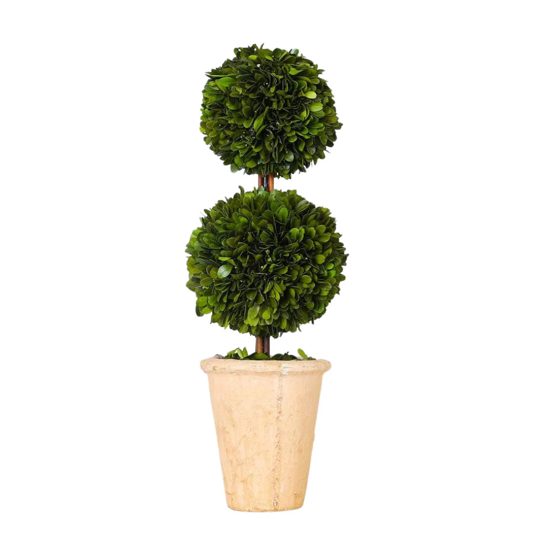 DOUBLE BOXWOOD TOPIARY TREE | Mason Maison