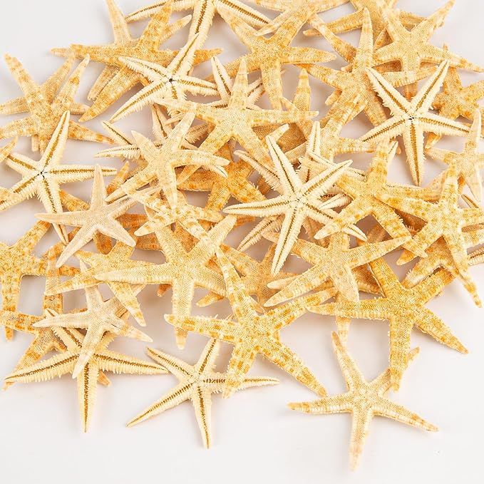 QEQEKAKA 50 PCS Starfish for Crafts 2" to 3" Natural Medium Starfish Decor Bulk, Yellow Sea Star ... | Amazon (US)