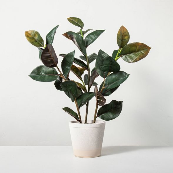 33" Faux Rubber Leaf Potted Plant - Hearth & Hand™ with Magnolia | Target