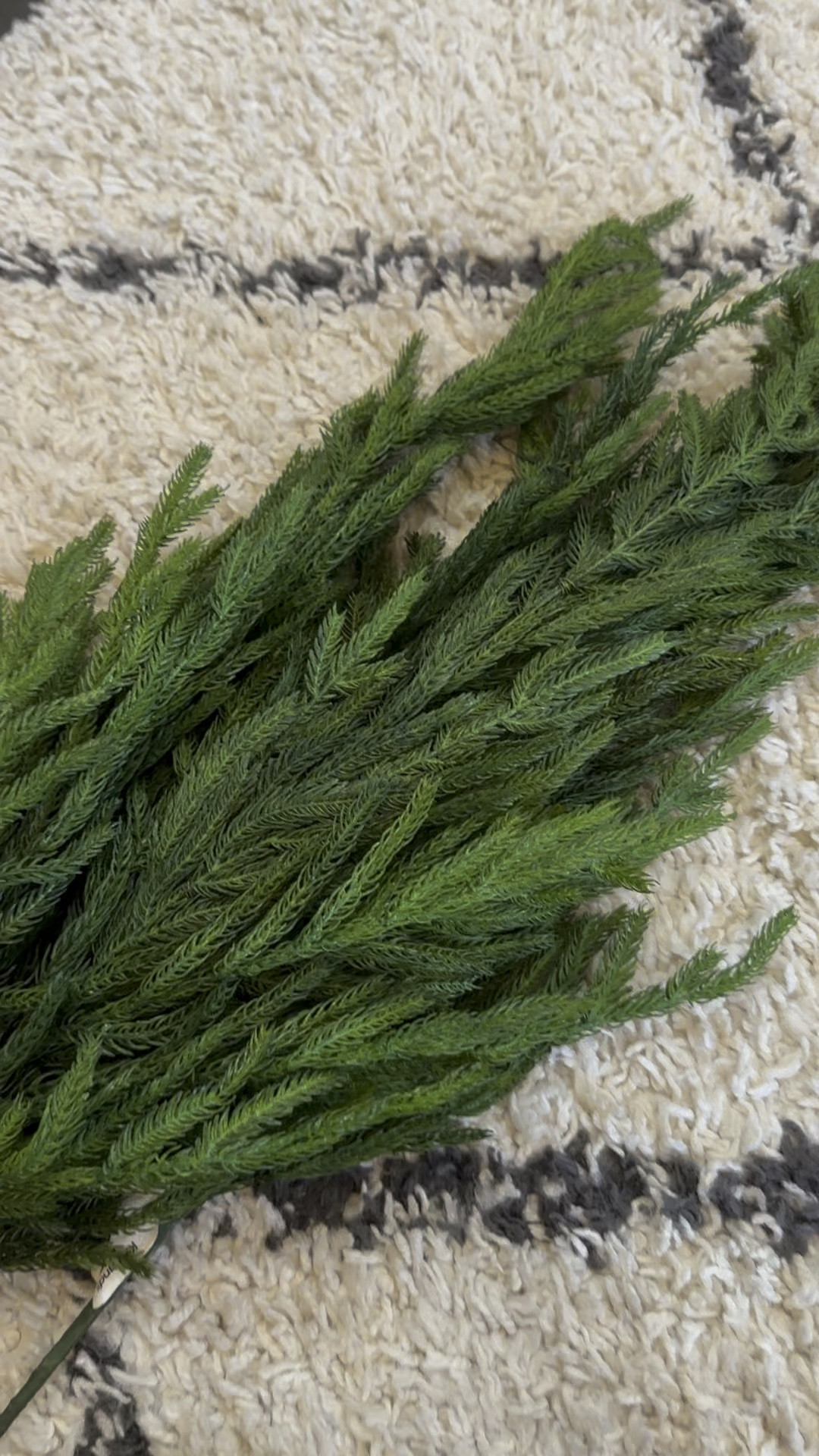 Norfolk Pine 38 inch stems on sale for $10! Also linking more expensive option as these will sell out quick! 

#LTKHolidaySale #LTKHoliday #LTKSeasonal