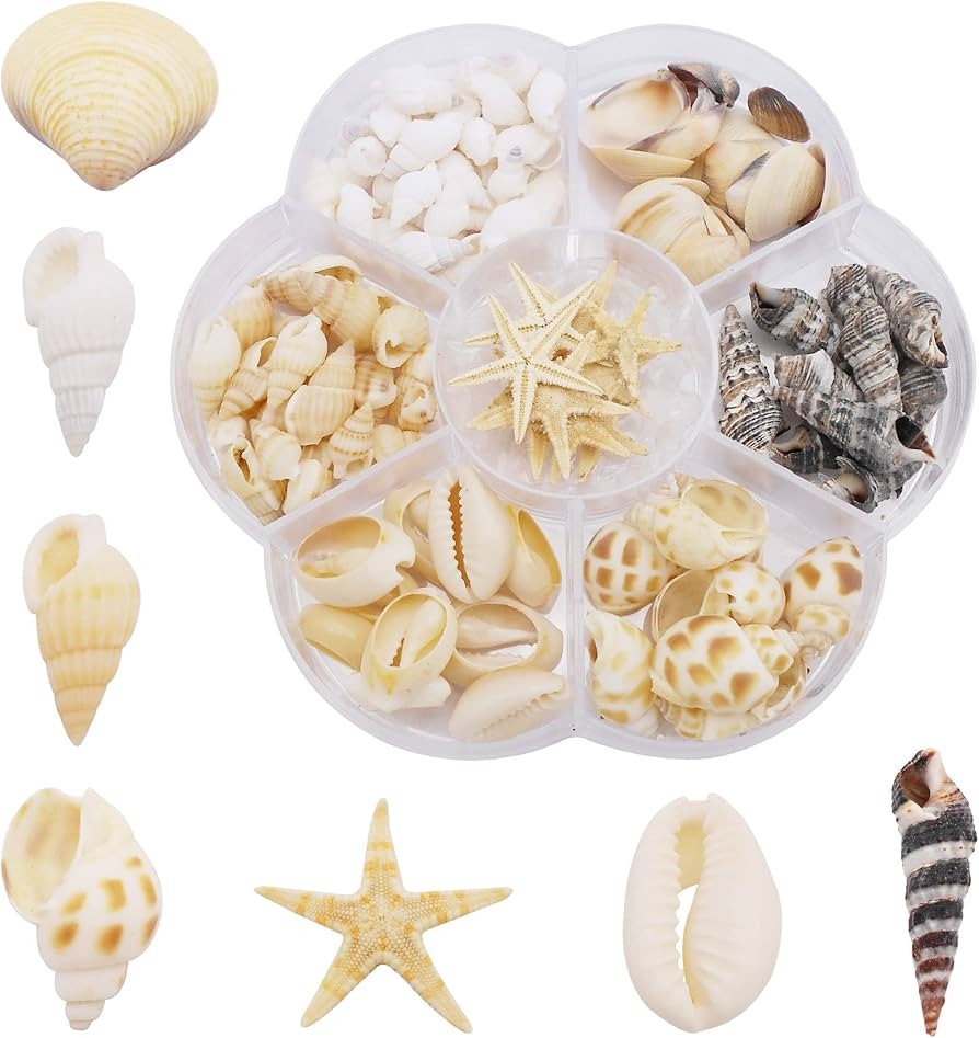 1 Box Small Starfish Sea Shells Conch Charms for Ocean Beach Home Decorations Resin Jewelry Party... | Amazon (US)