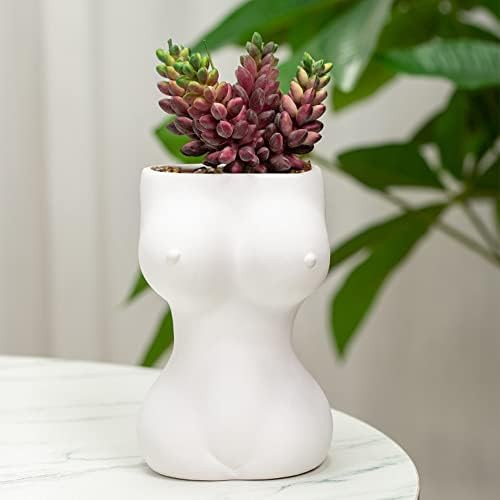 Female Form Body Vase Ceramic Minimalist Flowerpot Succulent Planter Modern Chic Decor for Home O... | Amazon (US)