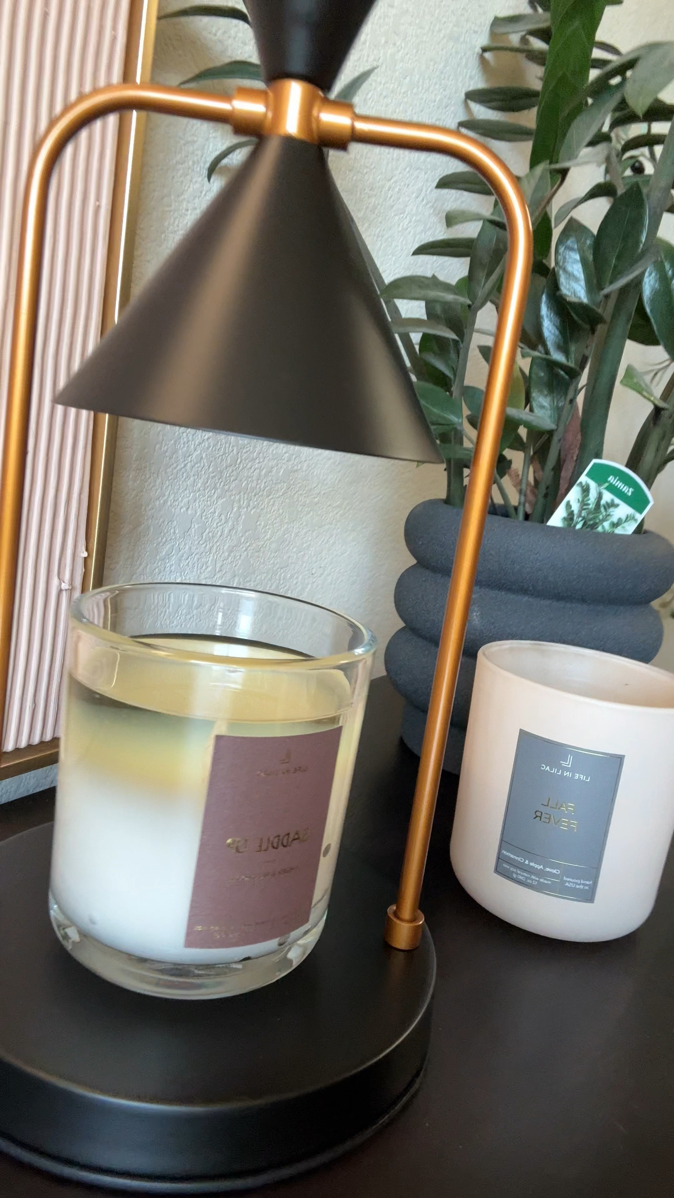 The best smelling candle I’ve ever smelled! Back in stock!

#LTKVideo #LTKHome