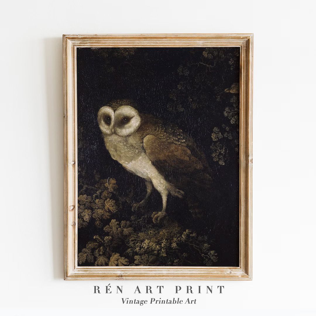 Antique Owl Painting | Dark Academia PRINTABLE Wall Art | Moody Rustic Bird Print | Vintage Anima... | Etsy (US)